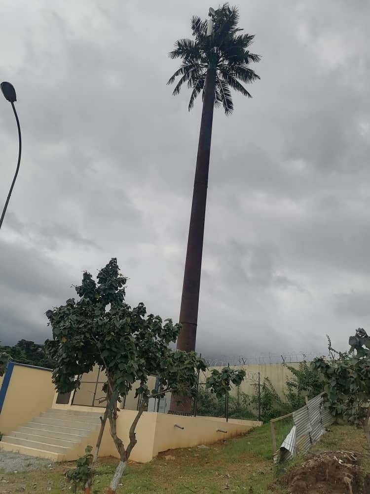 Pylône camouflé en palmier
